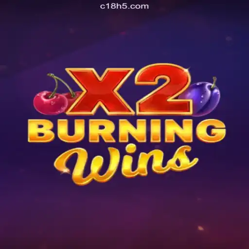 Exploring the Exciting World of BurningWinsX2: Insider's Guide to the Game Like No Other